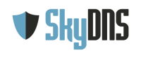 Аппаратная платформа SkyDNS K (+роутер Keenetic Lite и годовая лицензия на тариф 