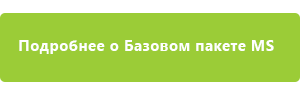 Подробнее о Базовом пакете MS